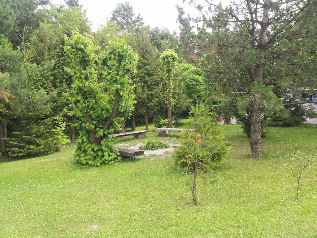 Domki , Pokoje Goscinne Ustronie Zwierzyniec Chambre photo